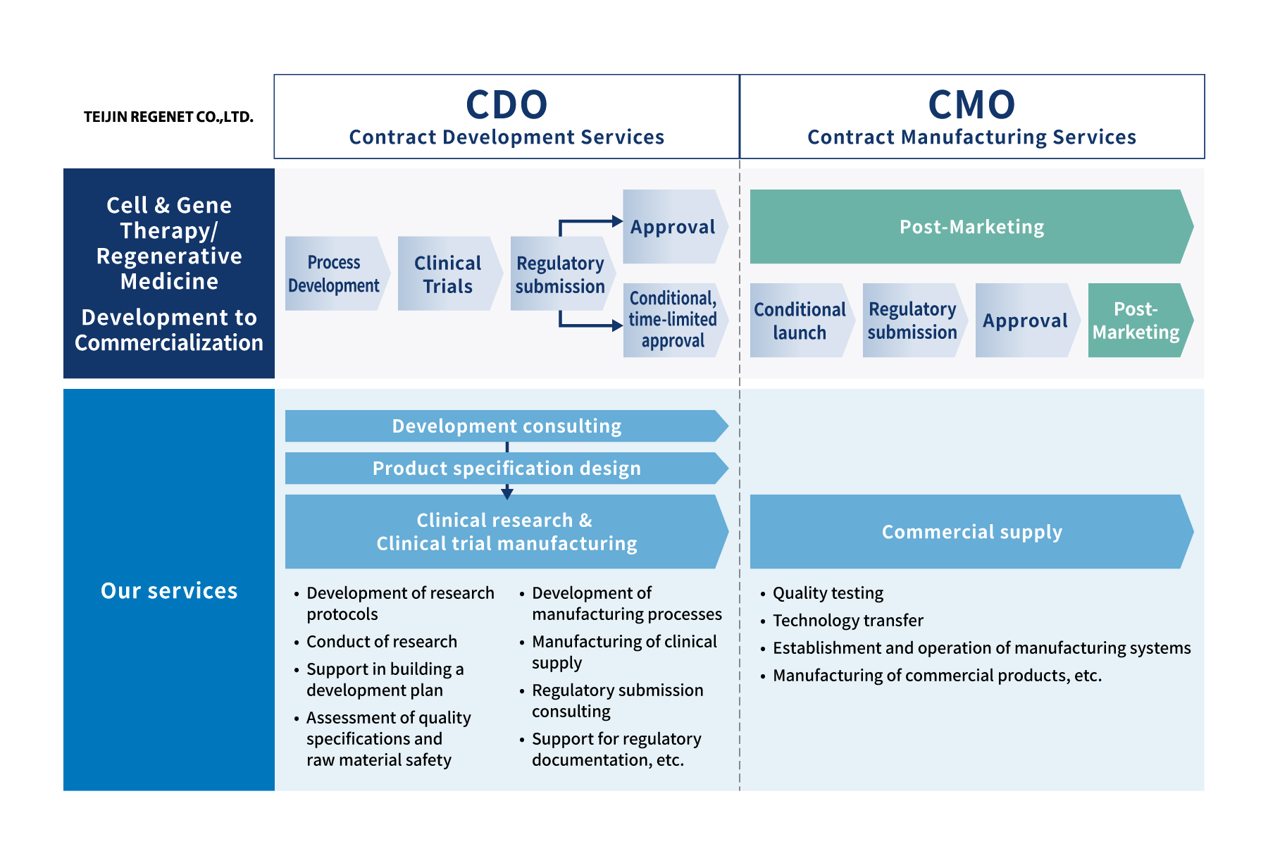 One-stop supports to realize seeds of Cell and Gene Therapy & regenerative medicine