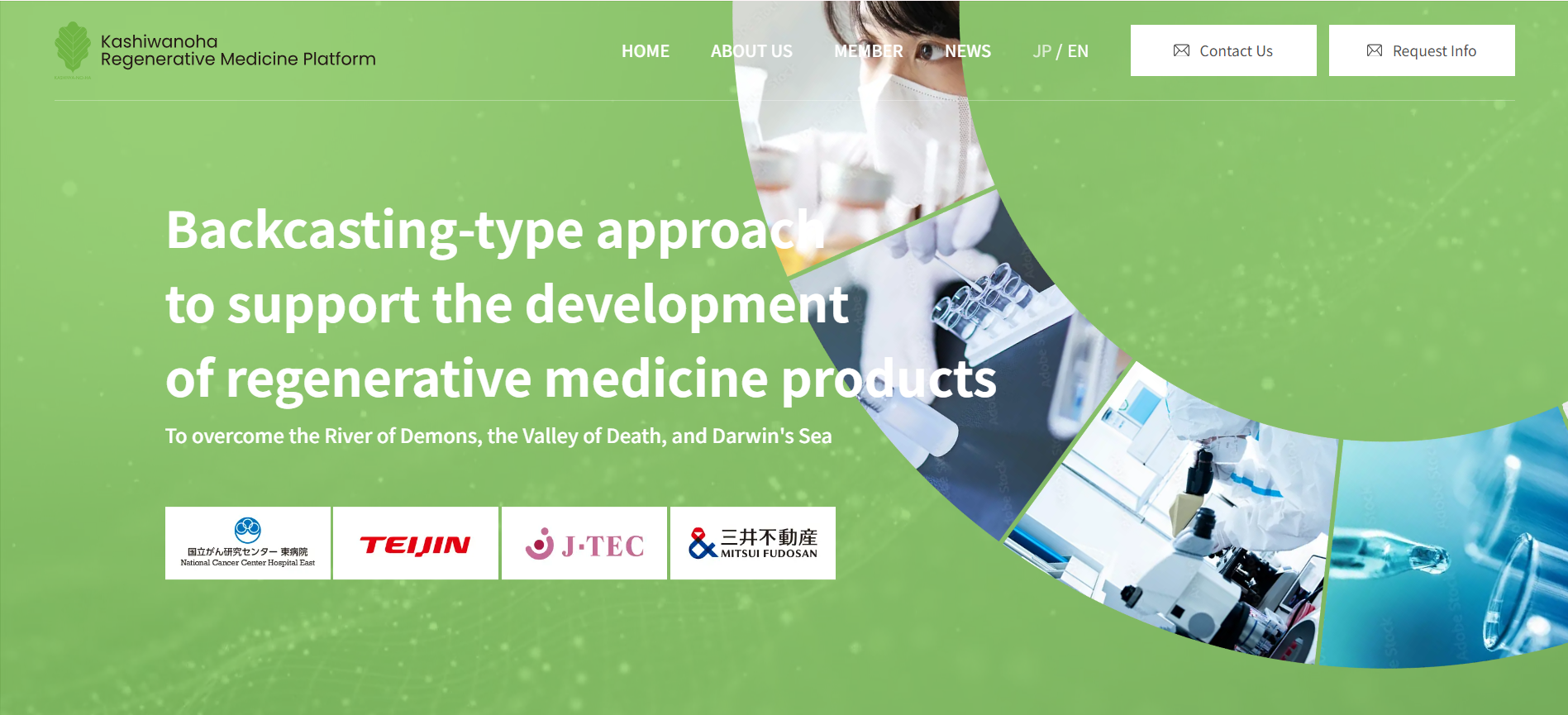 The Kashiwanoha Regenerative Medicine Platform Website is now open!